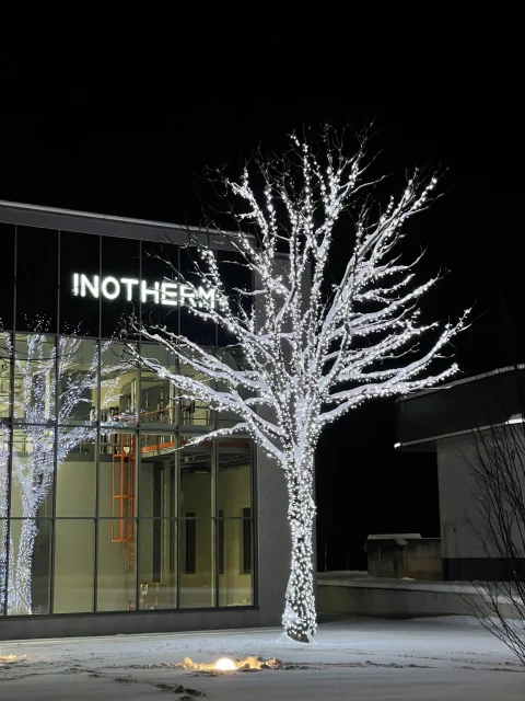 Osvetljena novoletna drevesa pred podjetjem